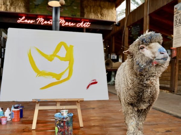 Baanksy, painting sheep, missing, reward